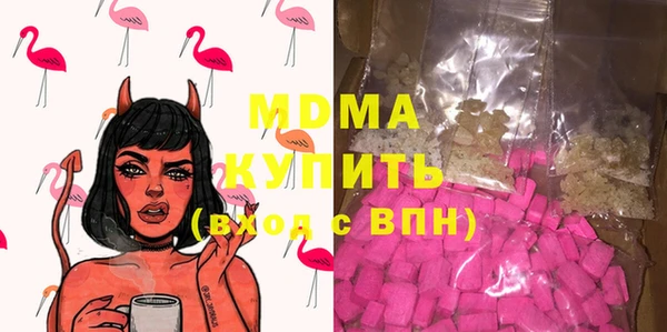 индика Богородицк